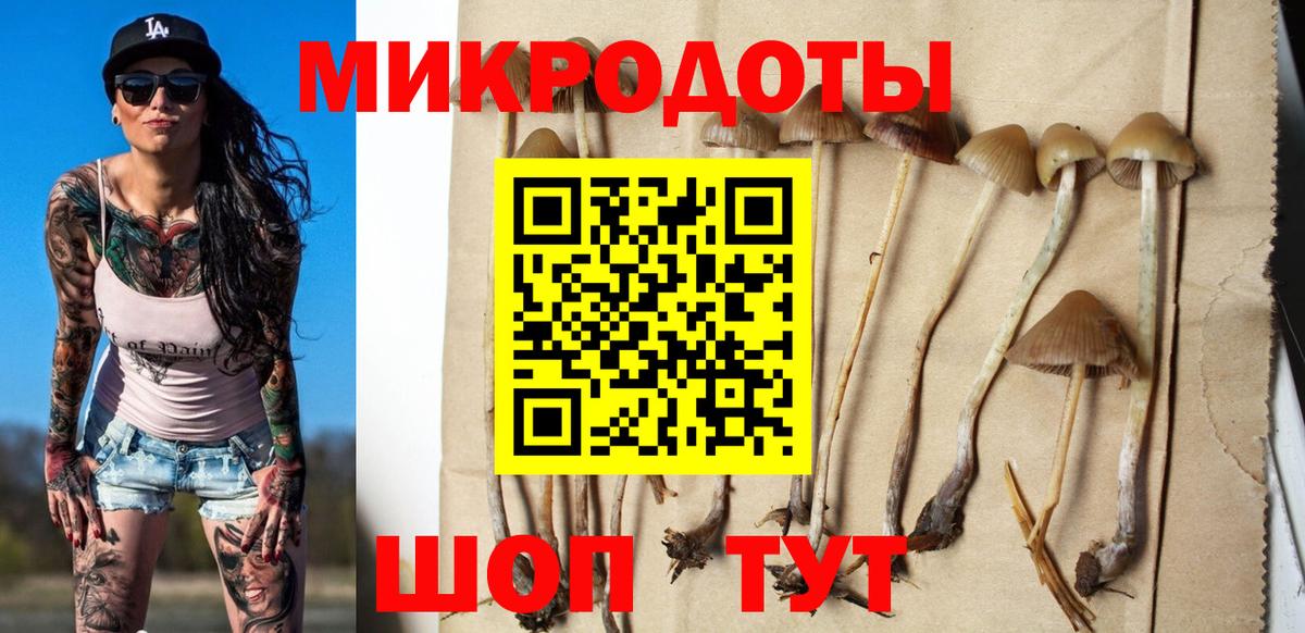сколько стоит  Галлюциногенные грибы прущие грибы  Вход с VPN  Изобильный 