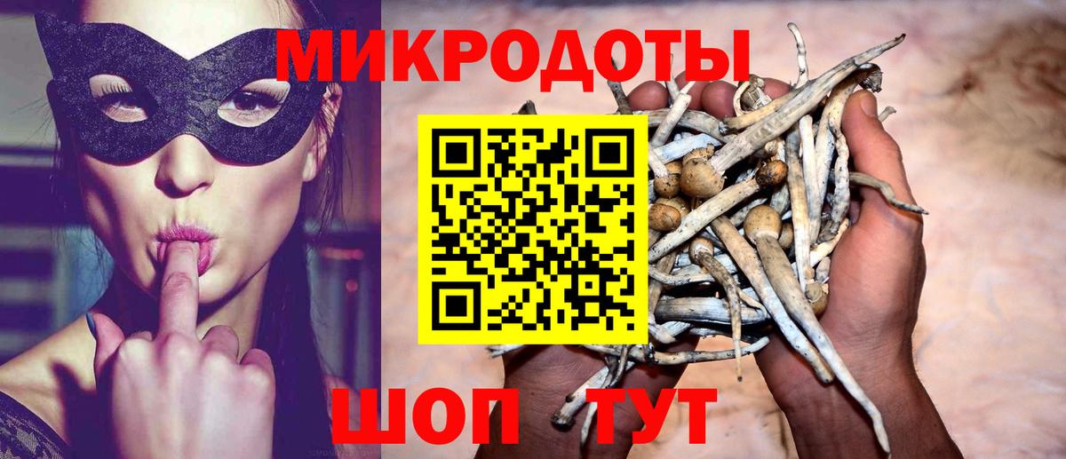 Галлюциногенные грибы Psilocybine cubensis Изобильный